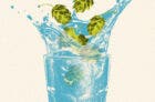 Illustration of hops falling into a glass of water