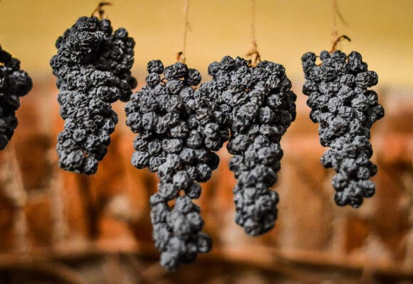 Grapes allowed to dry, traditionally on straw mats to make italian Amarone wine.