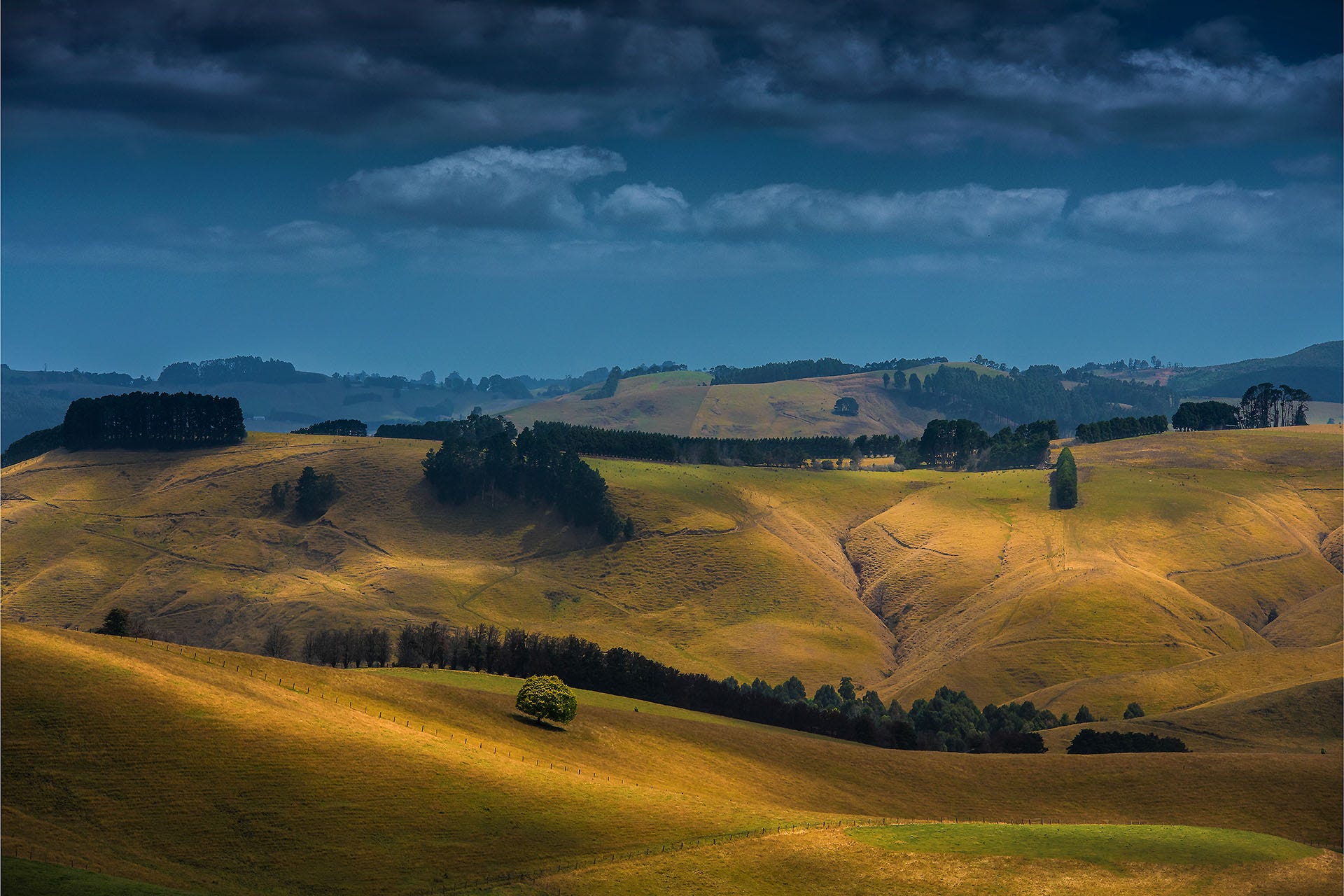 Magnificent rural farming area in the Leongatha district of fertile South Gippsland, Victoria, Australia.