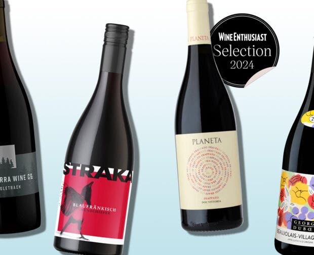 Bottles of chillable red wines on a designed background