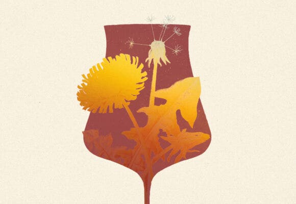 A silhouette of a wine glass with dandelions coming out of it