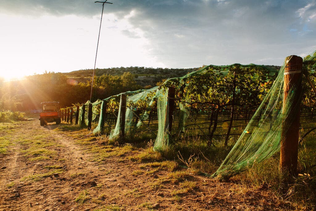 Page Springs Cellars