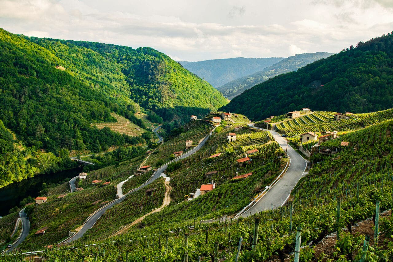 A panoramic view of Galicia ribeira sacra and river miño