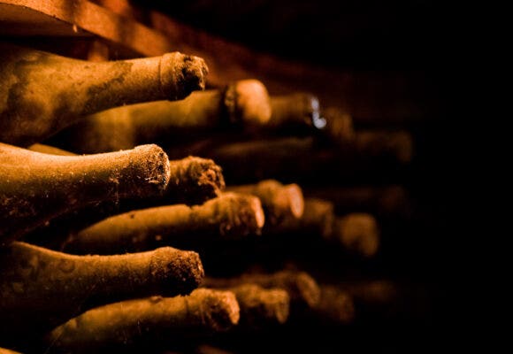 Wine bottles in cellar