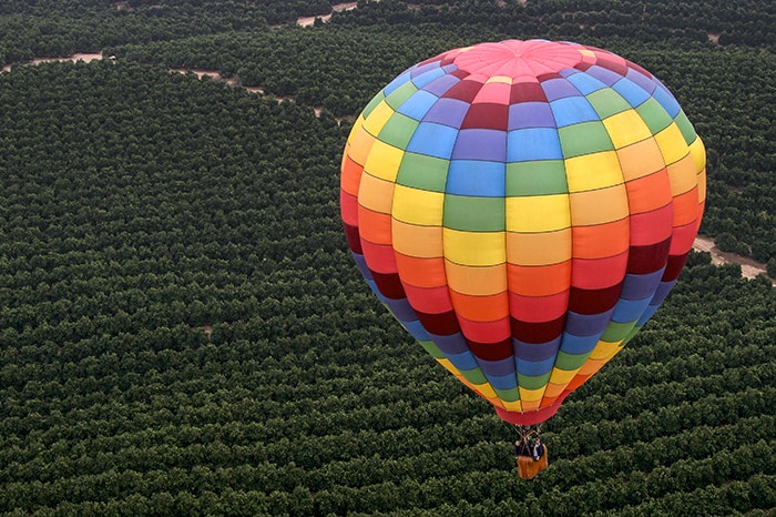 Hot Air Balloon in Sonoma